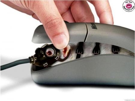 mouse in the mouse.it's crazy