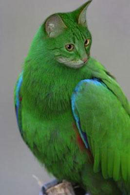photoshop2